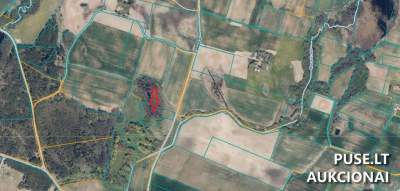 Parduodama miško ūkio paskirties žemės sklypo dalis (1/2) Kalvarijos sav. 856 EUR pradinė kaina