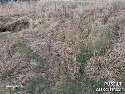 Valstybinis žemės sklypas Kretingos r., Kurmaičių k. pradinė kaina 7366 EUR, unikalus Nr. 4400-6700-9009