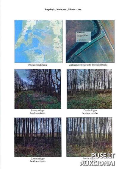 Žemės ūkio paskirties sklypas Šilutės rajone, Rūgalių kaime, pradinė kaina 3200 EUR