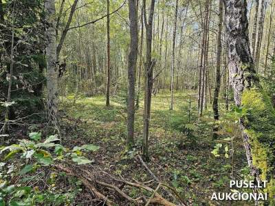 Parduodamas 10.34 ha žemės ūkio paskirties sklypas Šalčininkų r. su mišku, pradinė kaina 7620 EUR