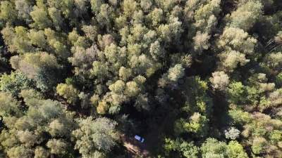 Miškų ūkio paskirties žemės sklypas Šalčininkų rajone, 4.38 ha, pradinė kaina 2880 EUR