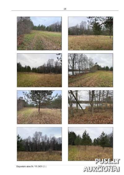 Didelis 4.55 ha žemės sklypas prie Tauragno ežero Utenos rajone, pradinė kaina 28880 EUR