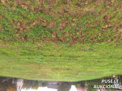 Valstybinės žemės sklypas Šakių r. Sintautų miestelyje, P. Vaičaičio g. 58, pradinė kaina 2017 EUR