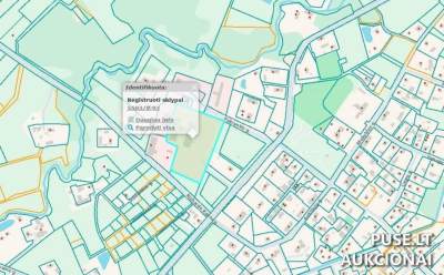 Žemės ūkio paskirties sklypas Klaipėdos rajone, Kantvainų kaime, 205440 EUR pradinė kaina
