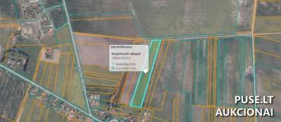 1/4 dalis žemės ūkio paskirties sklypo Telšių rajone, Gaulėnų kaime, pradinė kaina 1920 EUR
