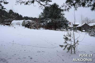 Valstybinis žemės sklypo nuomos aukcionas Anykščių mieste, Sportininkų g. 15A, pradinė kaina 221 EUR