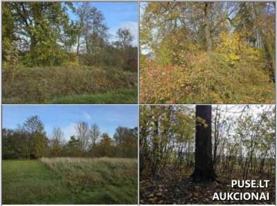 Valstybinės žemės sklypas Radviliškio r. sav., Viktorinės k. - 4832 EUR pradinė kaina