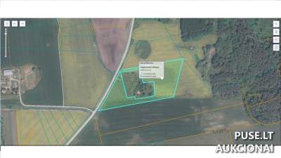 Žemės ūkio paskirties sklypo 1/20 dalis Panevėžio r. sav. Kritižių kaime už 283 EUR antstolių varžytynėse