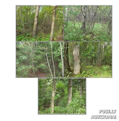 Žemės sklypas Tauragės r. sav., Lazdynės k. - Pradinė kaina 9488 EUR, Unikalus Nr. 4400-5719-2451