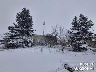 Valstybinės žemės sklypas Marijampolės savivaldybėje, Patašinės k., pradinė kaina 2957 EUR