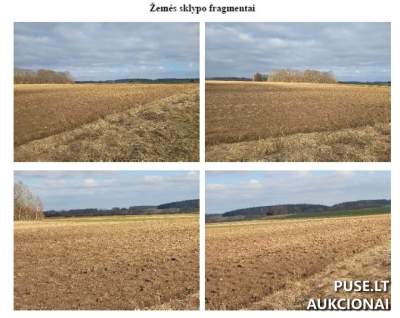 Žemės ūkio paskirties sklypas Anykščių rajone, Kunigiškių I k., pradinė kaina 720 EUR