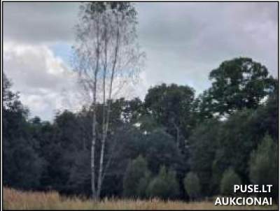Valstybinis žemės sklypas Juškaičių kaime, Šilutės r. sav., pradinė kaina 3867 EUR
