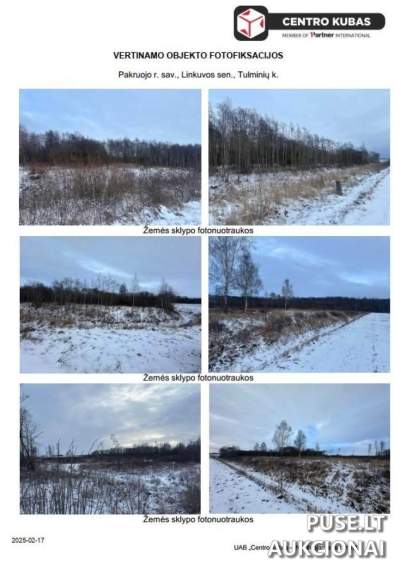 Žemės sklypas Pakruojo r. sav., Tulminių k., 1/3 dalis, pradinė kaina 9480 EUR - Antstolių aukcionas