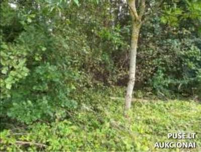 Valstybinis žemės sklypas parduodamas Skuodo rajone, Erkšvos kaime, pradinė kaina 1607 EUR