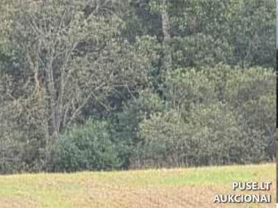 Valstybinis žemės sklypas Skuodo r. sav. Luobos kaime - Pradinė kaina 3465 EUR