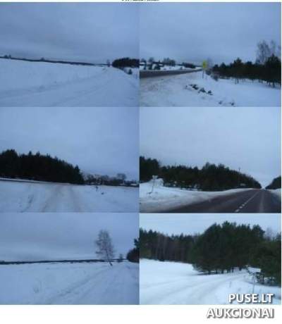 Parduodamas 1.35 ha žemės ūkio sklypas Molėtų rajone, Linutėse, pradinė kaina 2624 EUR