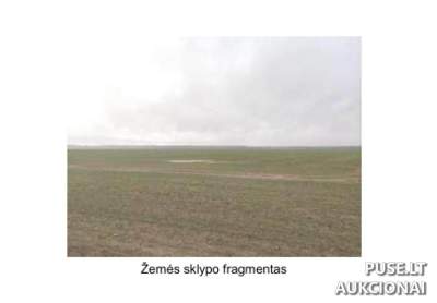 Žemės ūkio sklypas Kėdainių rajone, Lipliūnų kaime, 4000 EUR pradine kaina