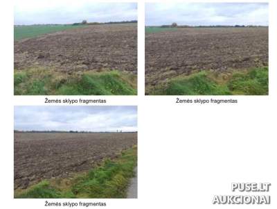 Žemės ūkio paskirties sklypas Kėdainių r. sav., Tubių kaime, 2.25 ha, pradinė kaina 18000 EUR