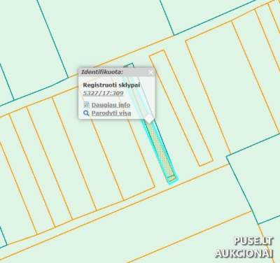 Žemės ūkio paskirties žemės sklypas Kėdainių rajone, Novočėbės kaime, pradinė kaina 300 EUR