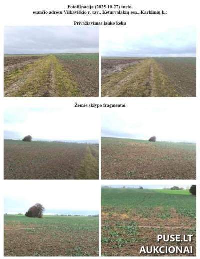 3/8 dalis žemės ūkio paskirties sklypo Vilkaviškio rajone, Karklinių kaime, pradinė kaina 18400 EUR