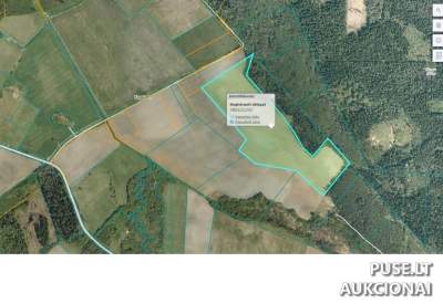 Žemės sklypas Telšių r. sav., Kuprių k. 3 parduodamas aukcione nuo 82560 EUR