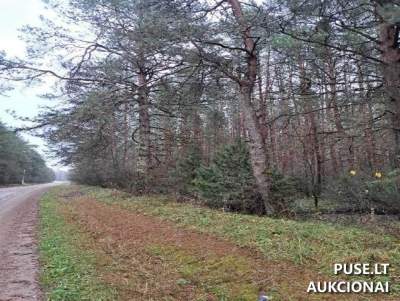 Miško ūkio žemės sklypo dalis Šalčininkų r. Milkūnų k. nuo 1384 EUR