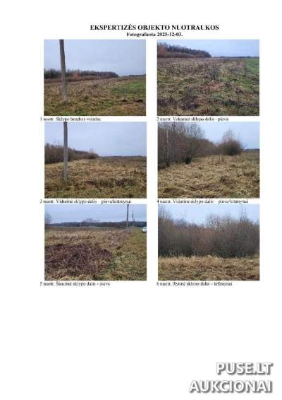 Žemės ūkio paskirties sklypai Panevėžio rajone, Vaivadų kaime, pradinė kaina 8080 EUR