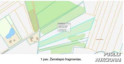 Žemės ūkio paskirties sklypo dalis Jurbarko r., Antšvenčių k., 800 EUR pradinė kaina