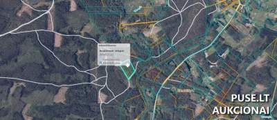 Žemės sklypo 1/12 dalis Kazlų Rūdos savivaldybėje, Baganskų kaime, pradinė kaina 1600 EUR