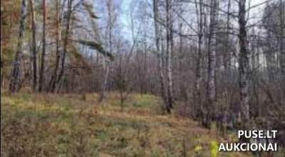 Valstybinis žemės sklypas Zarasų rajone, Pakniškių kaime, pradinė kaina 1862 EUR - Nekilnojamojo turto aukcionas