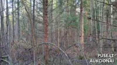 Valstybinis žemės sklypas Zarasų r. Pakniškių kaimo vietovėje pradine kaina 1712 EUR