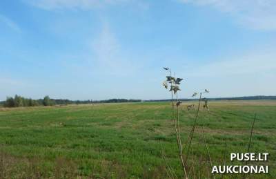 Žemės sklypas Klaipėdos r. sav., Drevernos k., Alyvų g. 5, pradinė kaina 53300 EUR