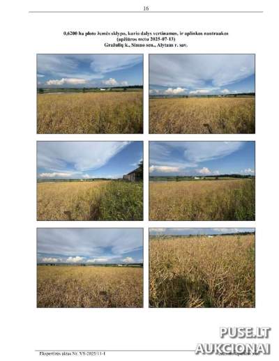 3/7 dalis žemės sklypo Alytaus rajone, Gražulių kaime, pradinė kaina 846 EUR