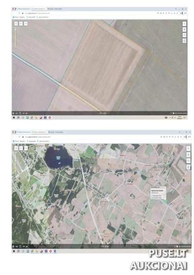 3.5 ha žemės ūkio paskirties sklypas Radviliškio rajone, Birjočių kaime, pradinė kaina 30800 EUR