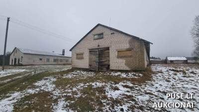 Pirmos klasės kiaulidės pastatai Plungės rajone, Pamedinčių kaime, 34675 EUR pradinė kaina