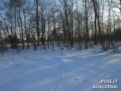 1.01 ha žemės ūkio sklypas Poškų kaime, Klaipėdos r. sav. pradinė kaina 6720 EUR