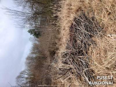 Žemės sklypas Panevėžyje, Koldingo g. 23, pradinė kaina 3849 EUR