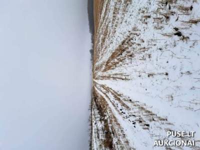 Parduodama 1/2 dalis žemės ūkio paskirties sklypo Ukmergės rajone, Virkščių kaime, pradinė kaina 1296 EUR