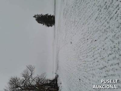 1/2 dalis žemės ūkio paskirties sklypo Ukmergės rajone, Paąžuolių kaime, pradinė kaina 19120 EUR