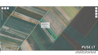 Parduodamas 0.5612 ha žemės ūkio sklypas Pasvalio r. Girsūdų kaimas, pradinė kaina 214 EUR