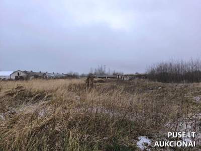 Valstybinis žemės sklypas Pasvalio rajone, Ustukių seniūnijoje, 13905 EUR pradinė kaina