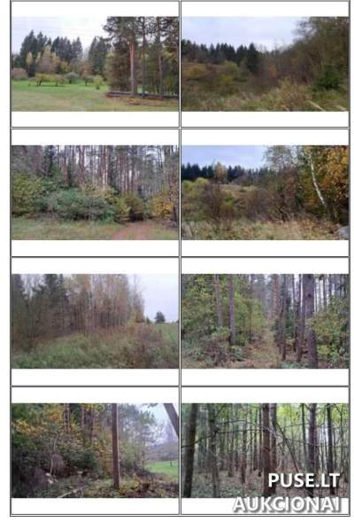 Valstybinis žemės sklypas Anykščių r. Kavarsko vns. 3148 EUR pradinė kaina, registracija iki 2026-04-03