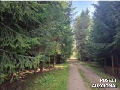 Valstybinis žemės sklypas Rokiškio rajone, Armonių kaime, pradinė kaina 1287 EUR