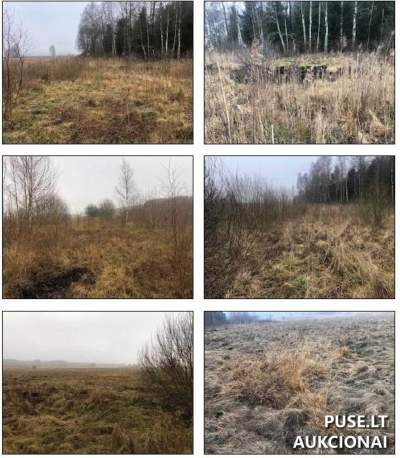 Žemės ūkio paskirties sklypas Trakų rajone, Strakiškių kaime, 1.40 ha ploto, su 7200 EUR pradine kaina