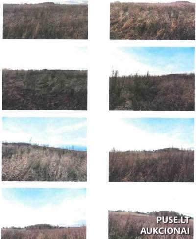 3.55 ha žemės ūkio paskirties sklypas Kelmės rajone, Laplėgių kaime, pradinė kaina 14160 EUR