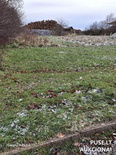Valstybinės žemės sklypo aukcionas Skuodo rajone, Puodkalių kaime, pradinė kaina 1631 EUR