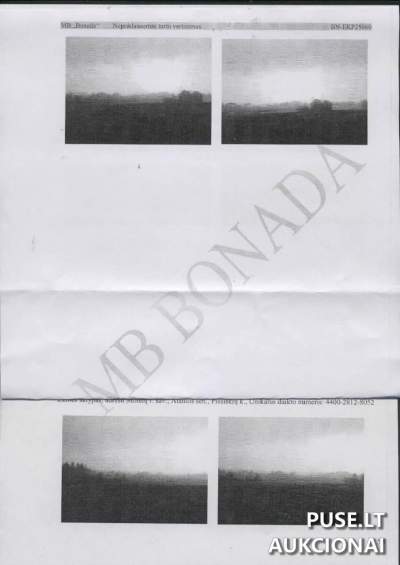 Didelis 1.2083 ha žemės ūkio sklypas Molėtų rajone, Piešiškių kaime, pradinė kaina 3300 EUR