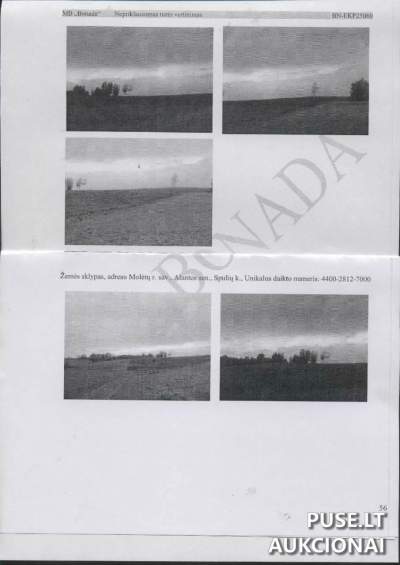 Parduodamas 5.29 ha žemės ūkio sklypas Molėtų rajone, Spulių kaime, pradinė kaina 13740 EUR