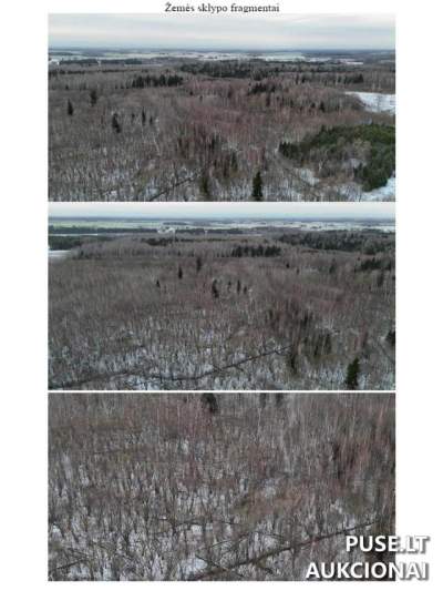 Land Plot in Didžiagrašiai Village, Kupiškis District Municipality, Starting Bid 3200 EUR