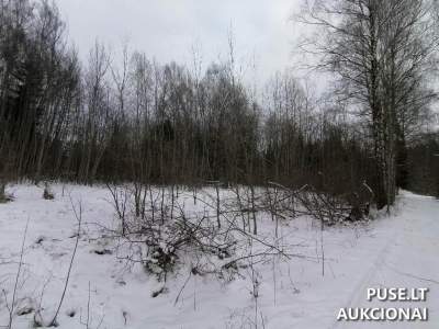 Valstybinės žemės sklypo pardavimas Panevėžio rajone, Abukauskinės kaime, pradinė kaina 4782 EUR